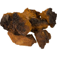 Wild Alaska Chaga Chunks - Antioxidant Mushroom Supports Heart, Liver and Immune System - AlaskaChaga