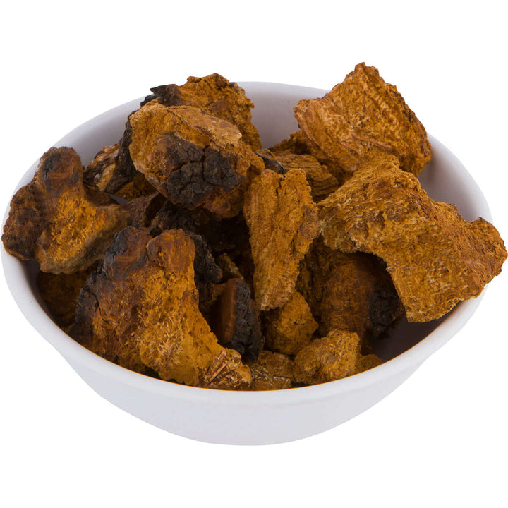 How to Harvest Chaga - AlaskaChaga