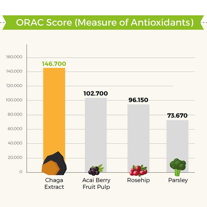 What is the ORAC Value of Chaga Mushroom? - AlaskaChaga