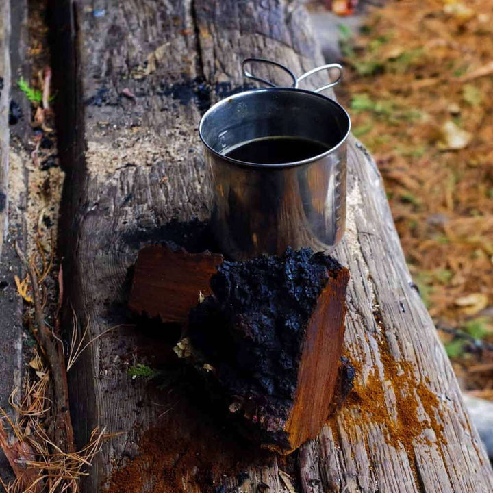 Chaga Mushroom: Side Effects and Dosages - AlaskaChaga