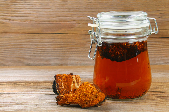 How Long Does it Take for Chaga to Have an Effect? - AlaskaChaga