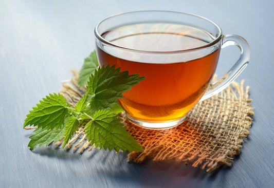Antiviral Effects of Chaga - AlaskaChaga