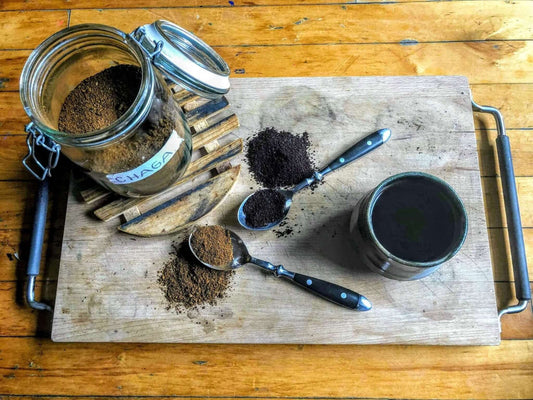 Chaga and Blood Thinners: The Warfarin Warning Explained - AlaskaChaga