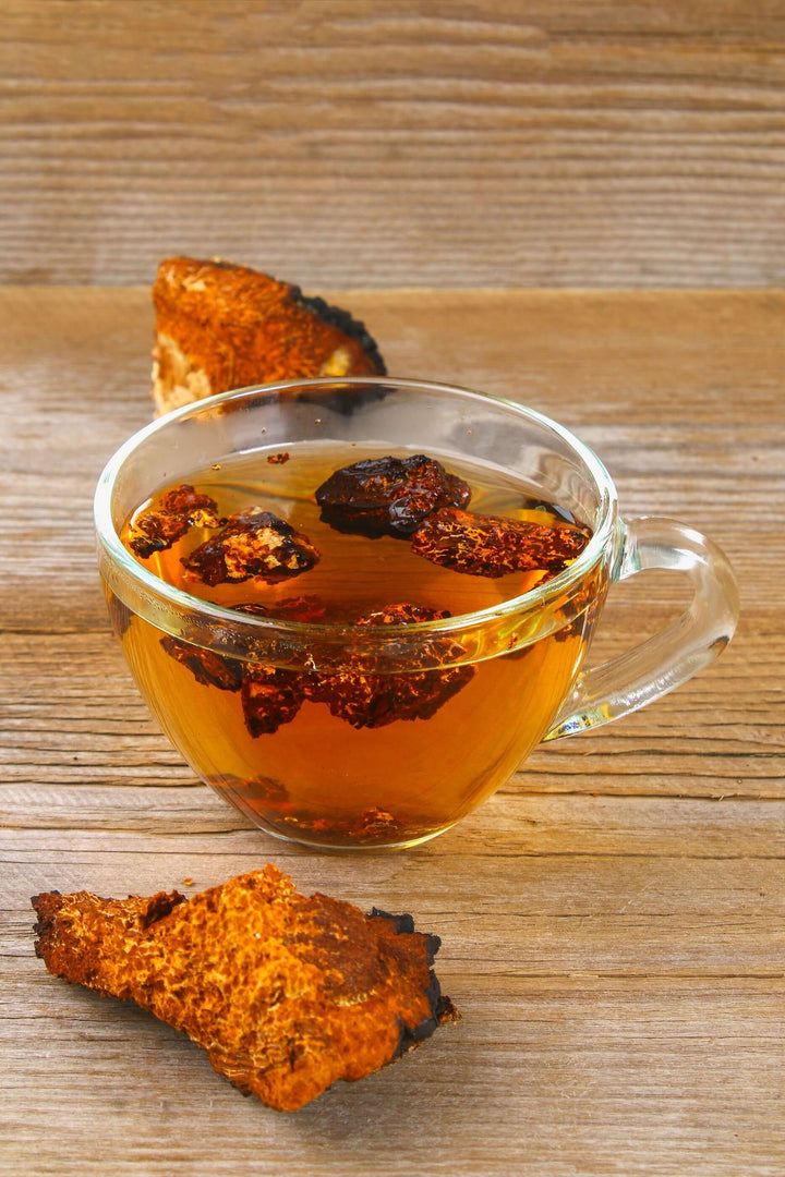 Chaga Tea and Weight Loss - AlaskaChaga