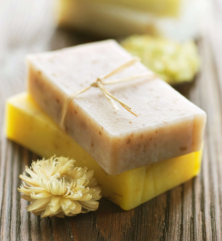 Chaga Soap - AlaskaChaga