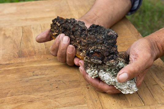 Vitamins in Chaga - AlaskaChaga