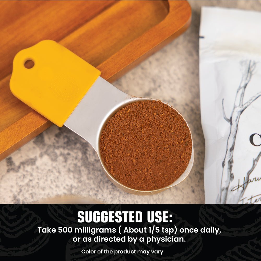 Measuring scoop of chaga powder with suggested use of about one-fifth teaspoon daily