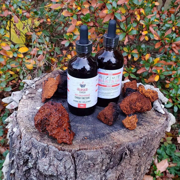 AlaskaChaga Dual Extract Tincture - 118ml