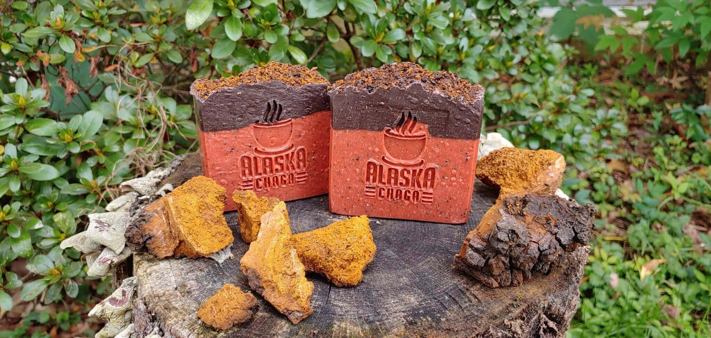 Handmade Alaska Chaga soap bars with chaga chunks on a birch stump
