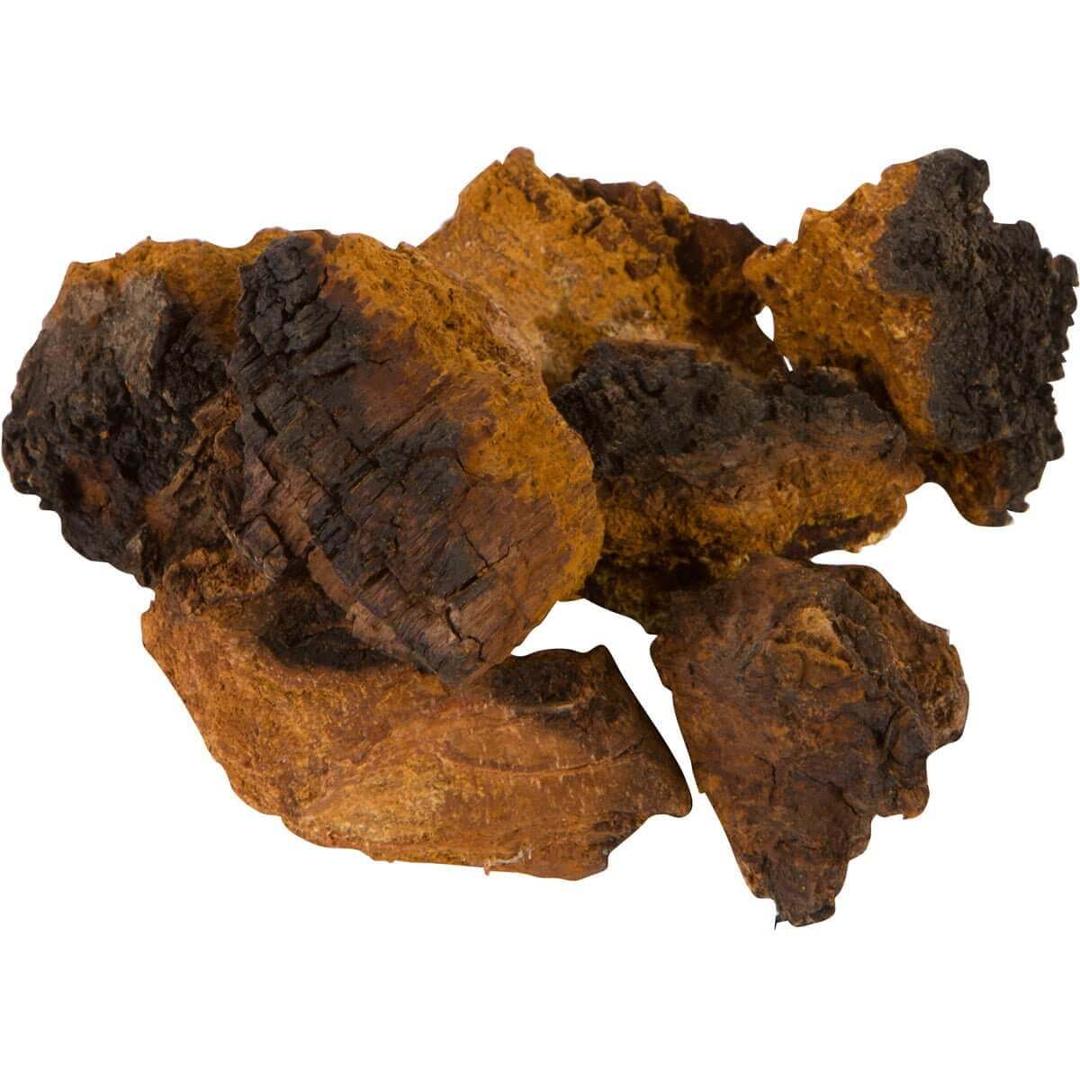Wild Alaska Chaga Chunks - AlaskaChaga