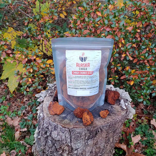 Wild Alaska Chaga Chunks - AlaskaChaga